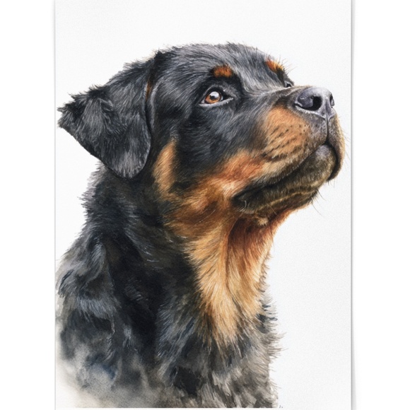 Rottweiler Watercolor Pet Portrait - Dog Wall Art Poster Unframed - Picture 2 of 5